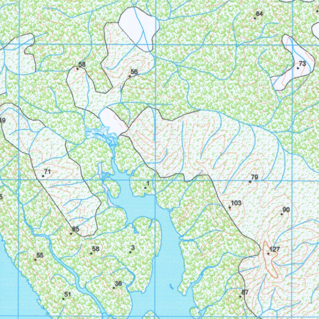 Pulau Sebangka (1016-31) Map by Badan Informasi Geospasial | Avenza Maps