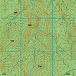 Gunung Wiyai (3012-31) Preview 2