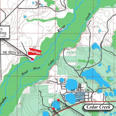 Ocklawaha River Florida Preview 2