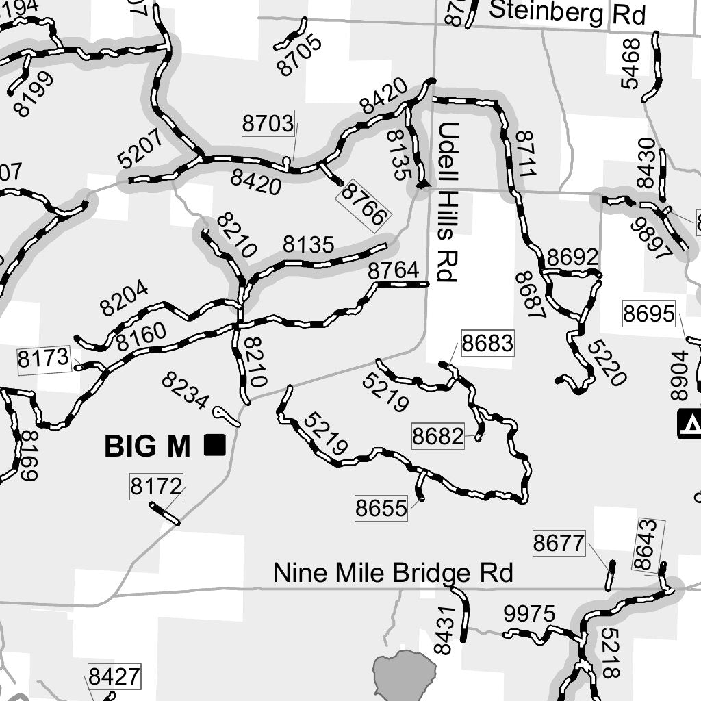 Huron-Manistee NF MVUM Cadillac Manistee West Map by US Forest