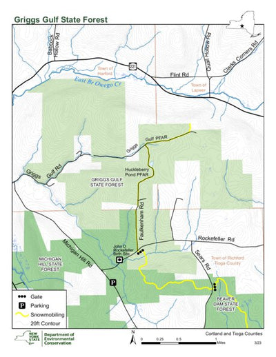 Griggs Gulf State Forest Preview 1