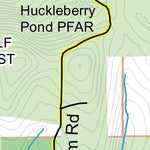 Griggs Gulf State Forest Preview 2