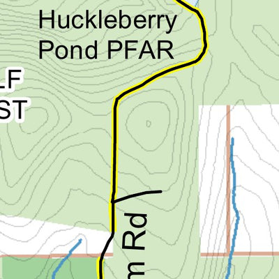 Griggs Gulf State Forest Preview 2