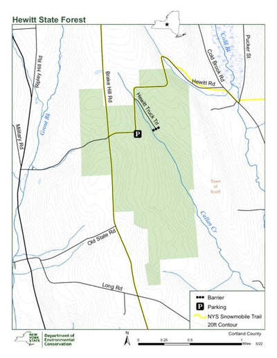 Hewitt State Forest Preview 1