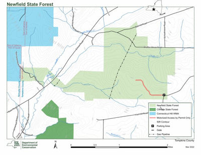 Newfield State Forest Preview 1