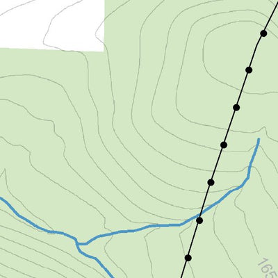 Newfield State Forest Preview 2