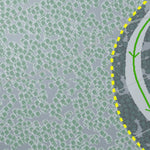 Boogie Mountain Resort Preview 3