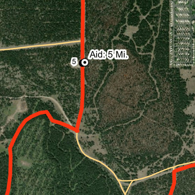 Yellowstone Half Marathon 2023 Preview 3