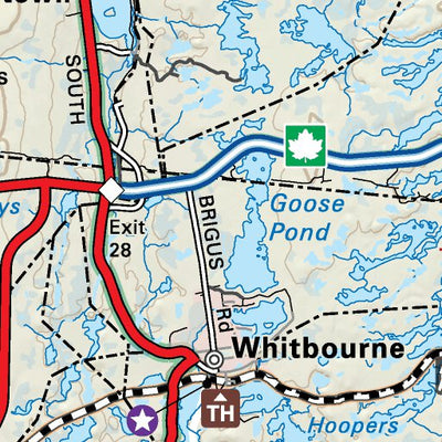 NLNL16 Dildo Newfoundland and Labrador Topo Preview 2