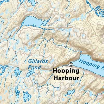 NLNL57 Williamsport Newfoundland and Labrador Topo Preview 3