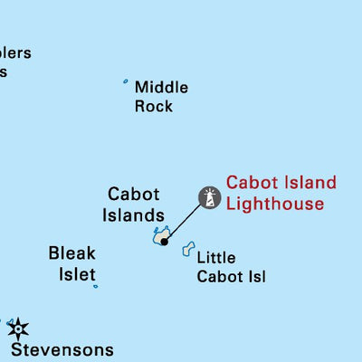 NLNL47 Newtown Newfoundland and Labrador Topo Preview 3