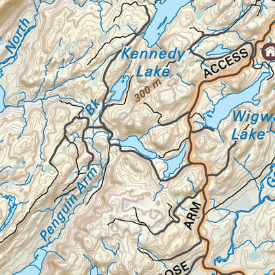 NLNL40 Deer Lake Newfoundland and Labrador Topo Preview 3