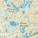 NLNL49 Jackson's Arm Newfoundland and Labrador Topo Preview 2