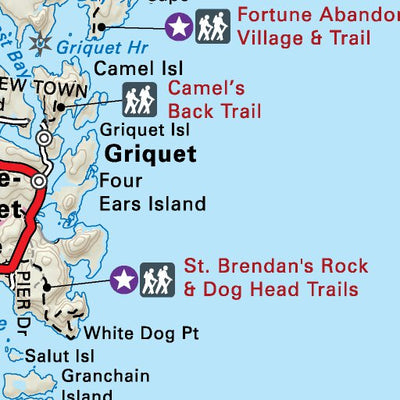 NLNL63 St Anthony Newfoundland and Labrador Topo Preview 2