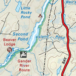 NLNL45 Gander Newfoundland and Labrador Topo Preview 3