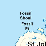 NLNL58 Bird Cove Inset Newfoundland and Labrador Topo Preview 2