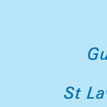 NLNL58 Bird Cove Inset Newfoundland and Labrador Topo Preview 3