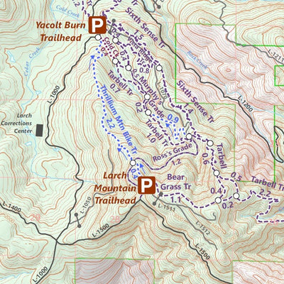 Yacolt Burn State Forest - Non Motorized Trails Preview 2