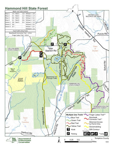 Hammond Hill State Forest Preview 1