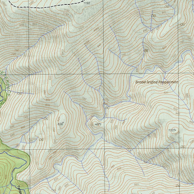Getlost Map 8423-1 BINDI Victoria Topographic Map V16b 1:25,000 Preview 3