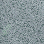 Clearwater Resort Preview 3