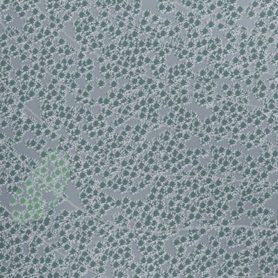 Clearwater Resort Preview 3