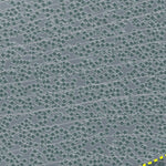 Fairmont Hot Springs Resort Preview 3