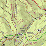 Michaux State Forest North Preview 3