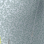 Hidden Valley Resort Preview 3