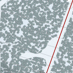 Medicine Lodge Resort Preview 3