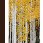 Rio Grande National Forest Visitor Map - Conejos Peak Ranger District (East Half) Preview 3