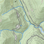 Pickens Quad Topo - WVDNR Preview 3