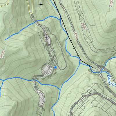 Pickens Quad Topo - WVDNR Preview 3