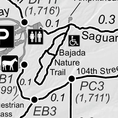 McDowell Sonoran Preserve Gateway Area Trails - Spring 2021 Preview 3