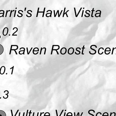 McDowell Sonoran Preserve Tom's Thumb Area Trails - Spring 2021 Preview 2