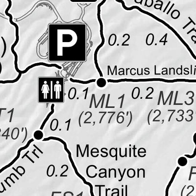 McDowell Sonoran Preserve Tom's Thumb Area Trails - Spring 2021 Preview 3