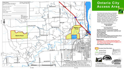 Ontario Preview 1