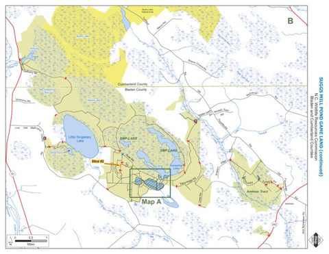 Suggs Mill Pond Game Land B Preview 1
