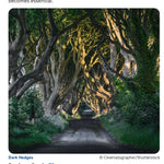 Collins Northern Ireland Information and Index Preview 3