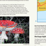 New Forest National Park Map Preview 3