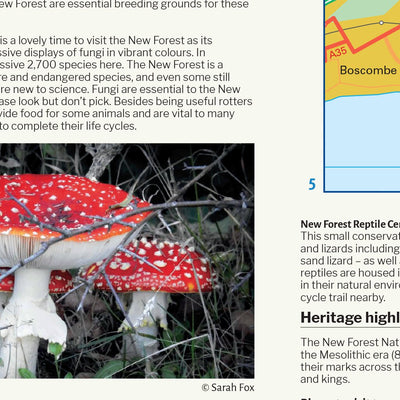 New Forest National Park Map Preview 3