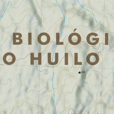 Bosque Nevado Huilo Huilo Ampliado Preview 2