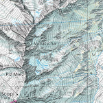 Disentis-Sedrun South, 1:25'000, Hiking Map Preview 3