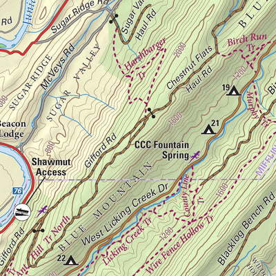 Tuscarora State Forest Lizard Map, PA Preview 2