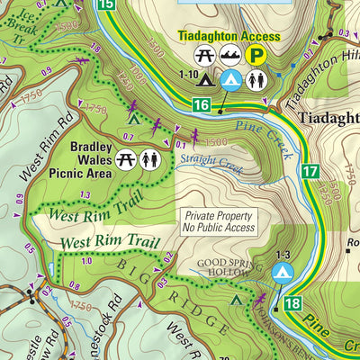 Pine Creek Pennsylvania Grand Canyon Lizard Map, PA Preview 3