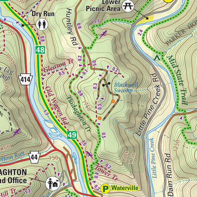 Pine Creek Pennsylvania Grand Canyon Lizard Map, PA Preview 2