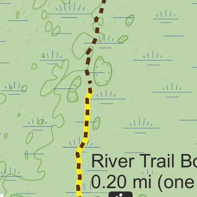 Big Cypress Tree State Park Preview 3