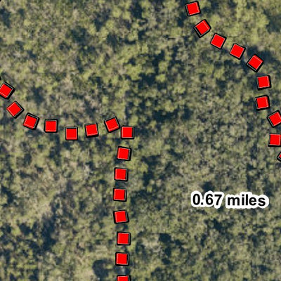 Camp Bayou Nature Preserve Trail Map Preview 3