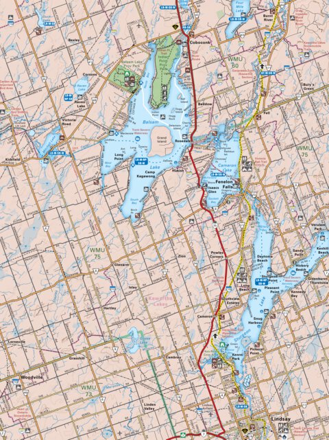 CCON23 Lindsay - Cottage Country Ontario Topo Preview 1