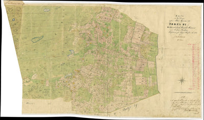 13-top-7b Torpa Preview 1